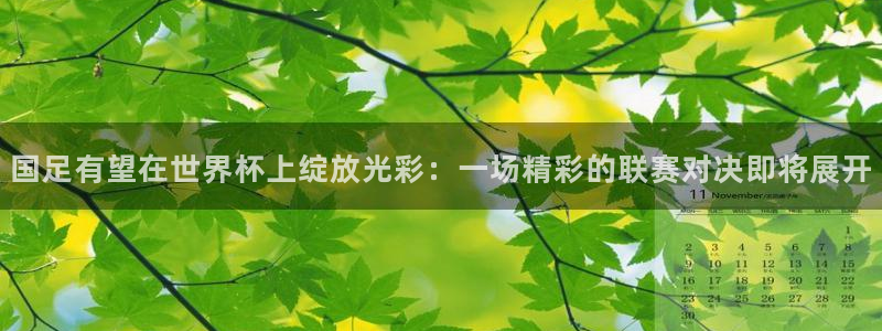 世界杯 2026:国足有望在世界杯上绽放光彩:一场精彩的联赛对决即将展开
