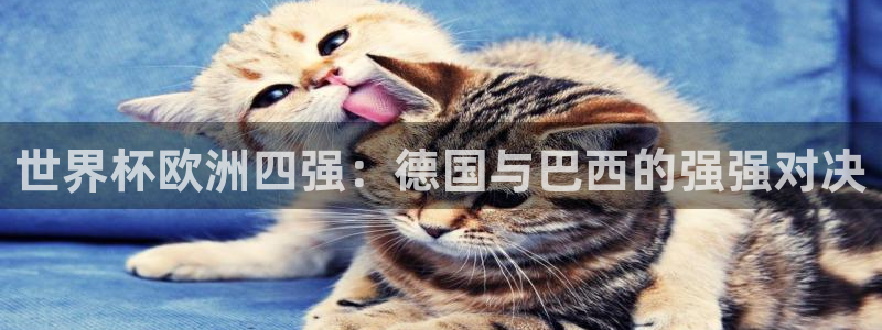 世界杯预选赛:世界杯欧洲四强:德国与巴西的强强对决