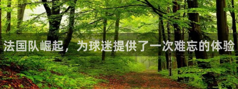 2026足球世界杯:法国队崛起,为球迷提供了一次难忘的体验