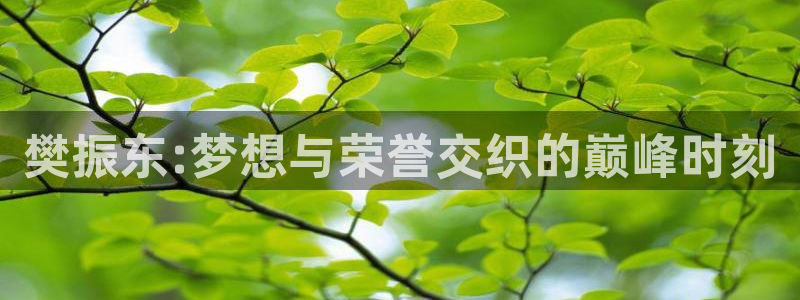 世界杯球队:樊振东:梦想与荣誉交织的巅峰时刻