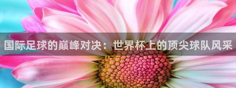 葡萄牙世界杯赛程:国际足球的巅峰对决:世界杯上的顶尖球队风采