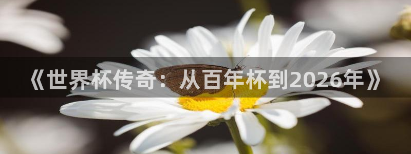 世界杯小组赛赛程:《世界杯传奇:从百年杯到2026年》