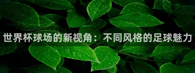 世界杯比赛:世界杯球场的新视角:不同风格的足球魅力