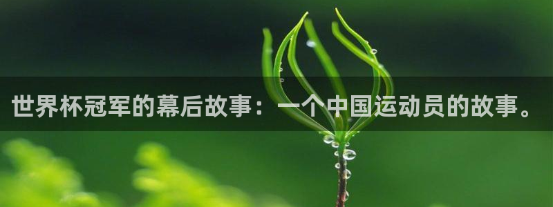 法国杯2026赛程表:世界杯冠军的幕后故事:一个中国运动员的故事。